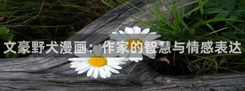 漫漫漫画tv版